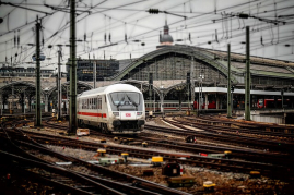 Ihr 24h Schimmelnotdienst in Köln